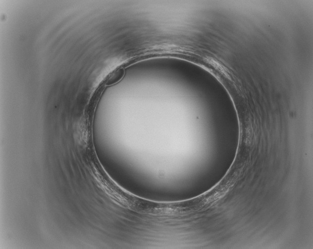 X0000059801458200510211039