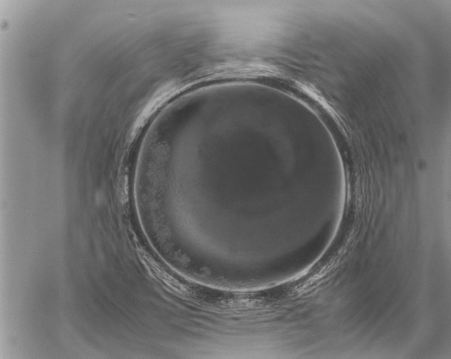 X0000059801459200510211039