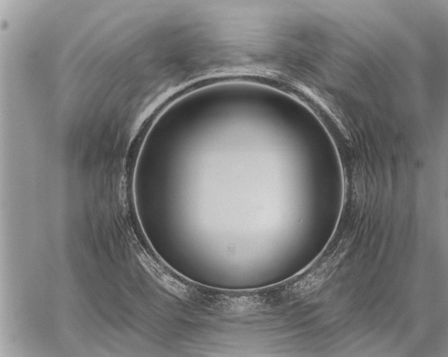 X0000059801460200510211039