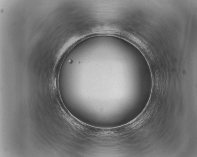 X0000059801462200510211039