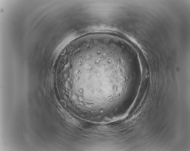 X0000059801463200510211039