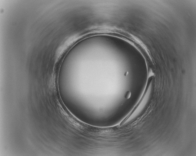 X0000059801464200510211039