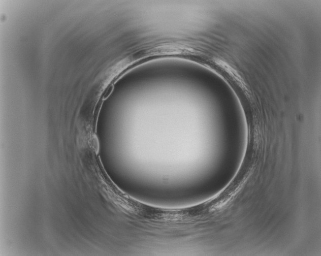 X0000059801465200510211039