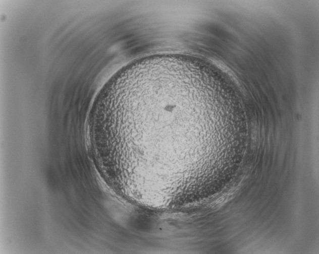 X0000059801466200510211039