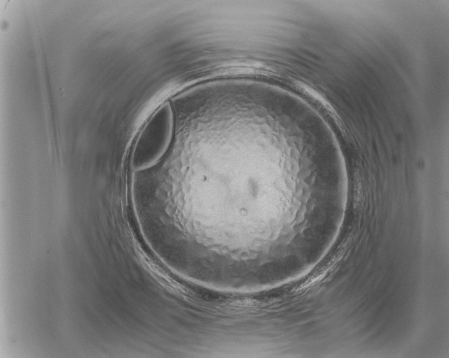 X0000059801467200510211039