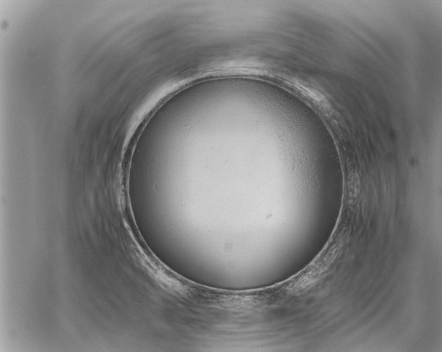 X0000059801470200510211039