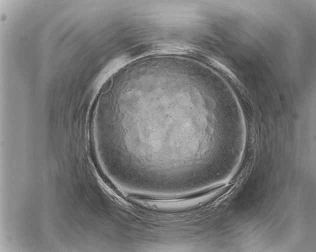 X0000059801471200510211039