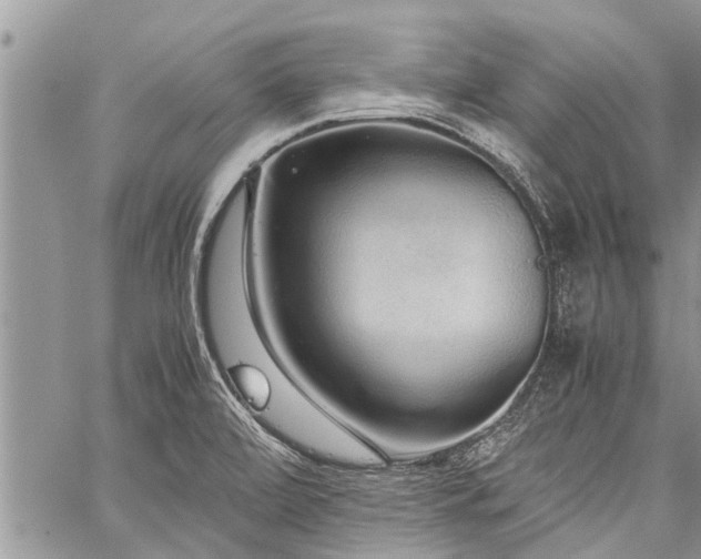 X0000059801472200510211039