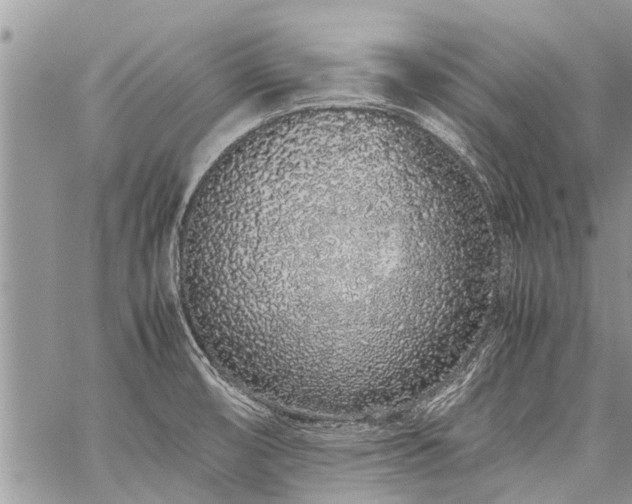 X0000059801474200510211039