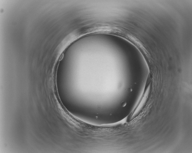 X0000059801475200510211039