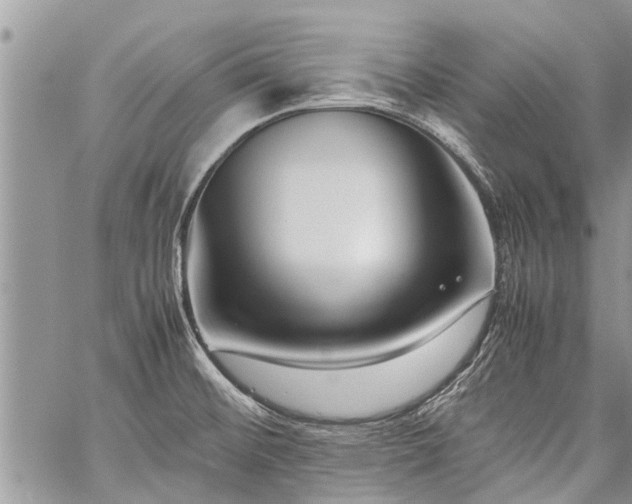 X0000059801476200510211039