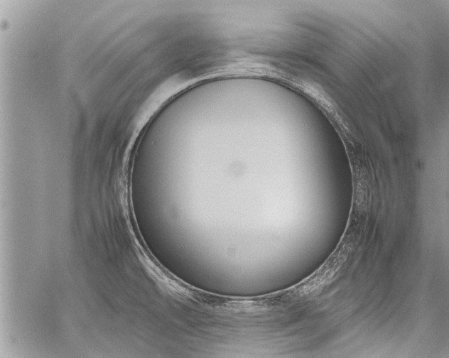 X0000059801478200510211039