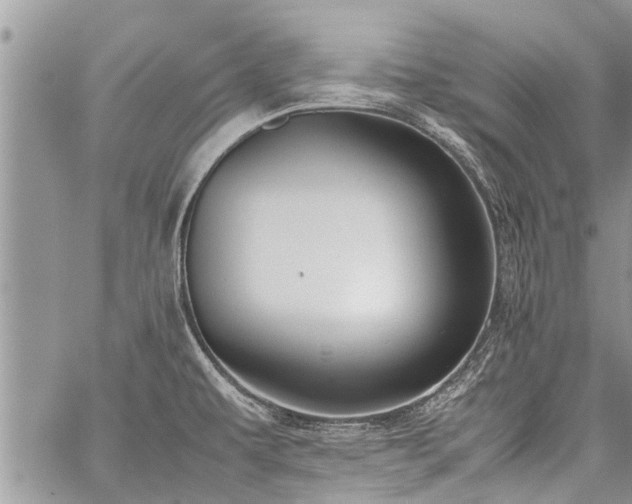 X0000059801479200510211039