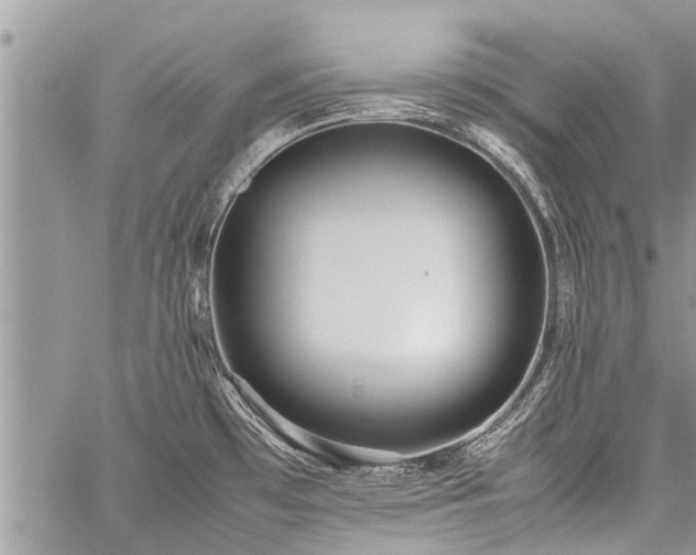 X0000059801481200510211039