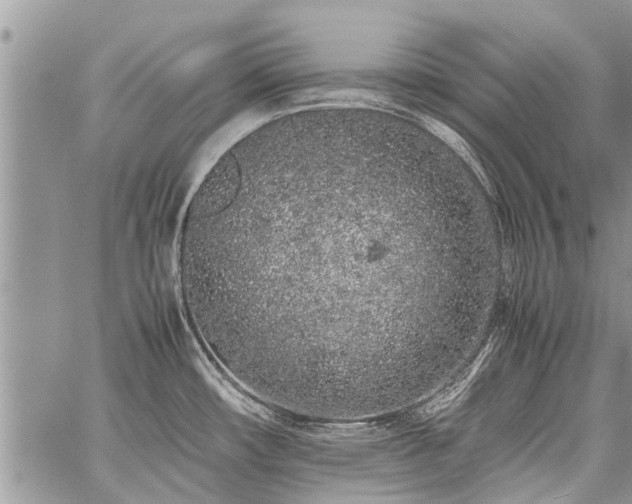 X0000059801482200510211039