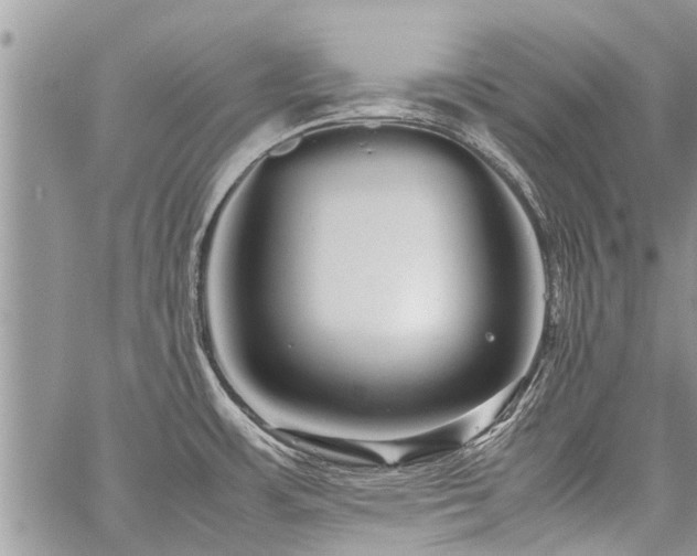 X0000059801483200510211039