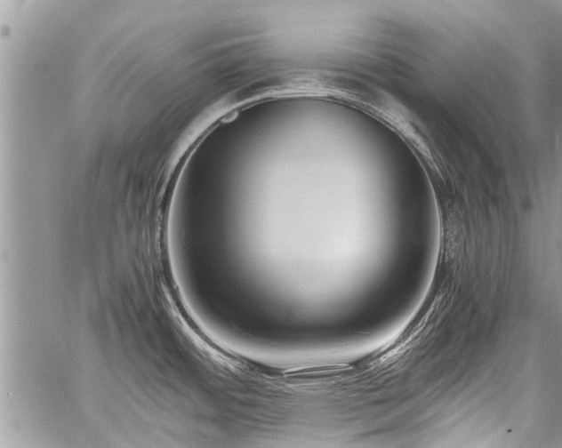 X0000059801484200510211039