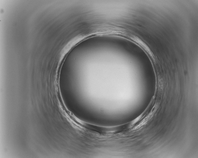 X0000059801485200510211039