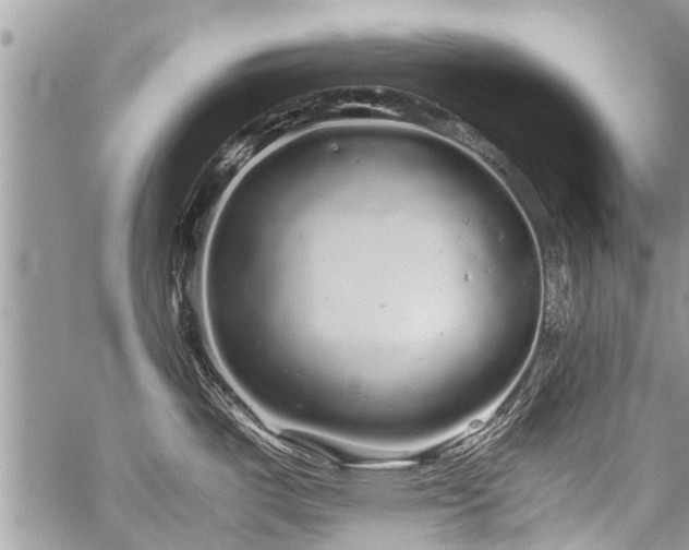 X0000059801487200510211039