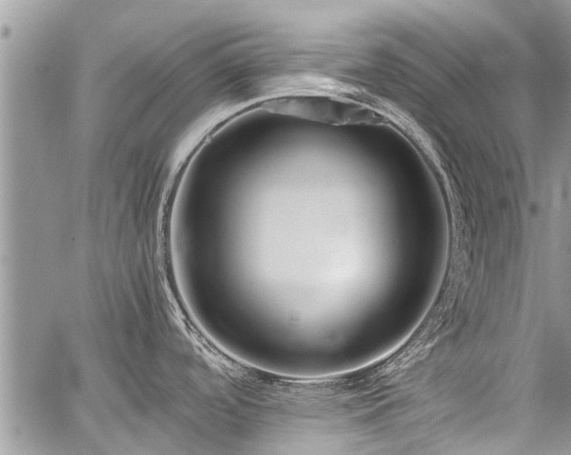 X0000059801488200510211039