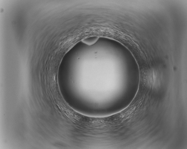 X0000059801489200510211038