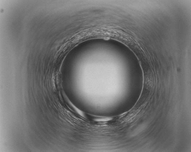 X0000059801490200510211038