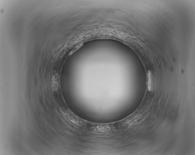 X0000059801491200510211038