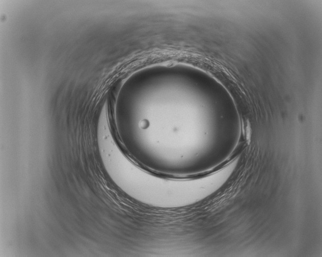 X0000059801492200510211038