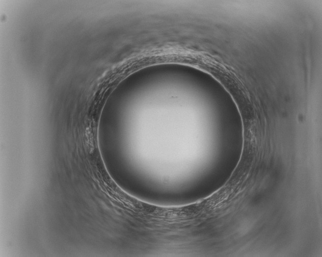 X0000059801493200510211038