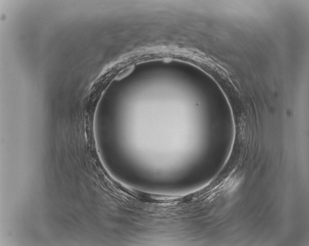 X0000059801494200510211038