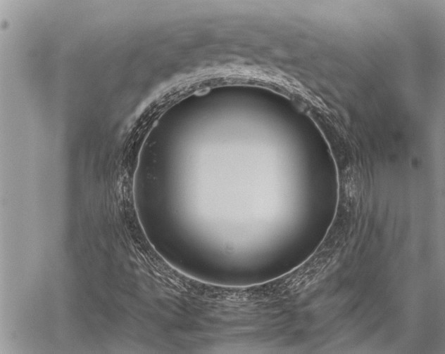 X0000059801495200510211038