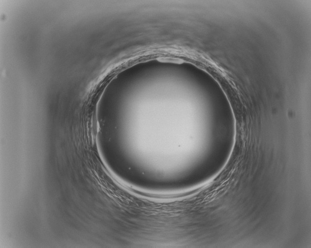 X0000059801496200510211038