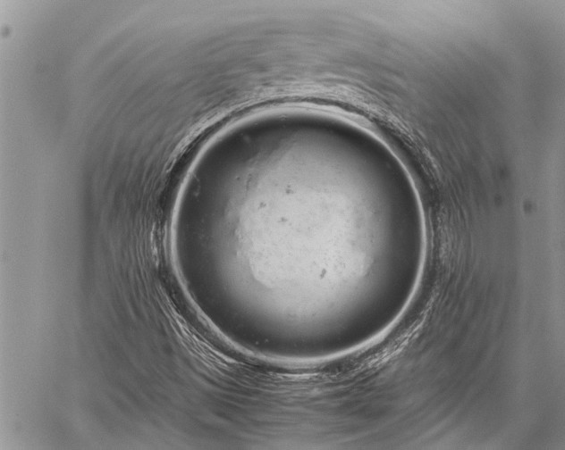 X0000059801497200510211038