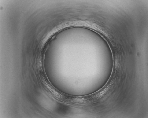 X0000059801498200510211038