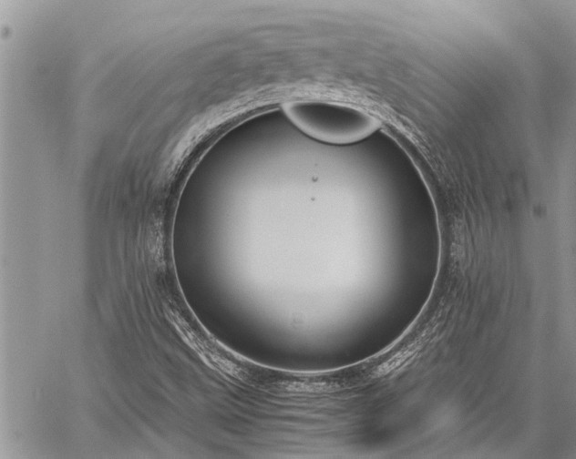 X0000059801499200510211038