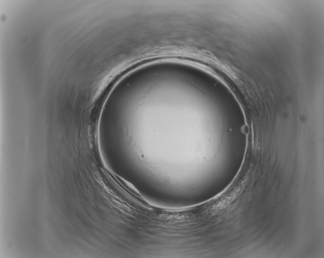 X0000059801501200510211038