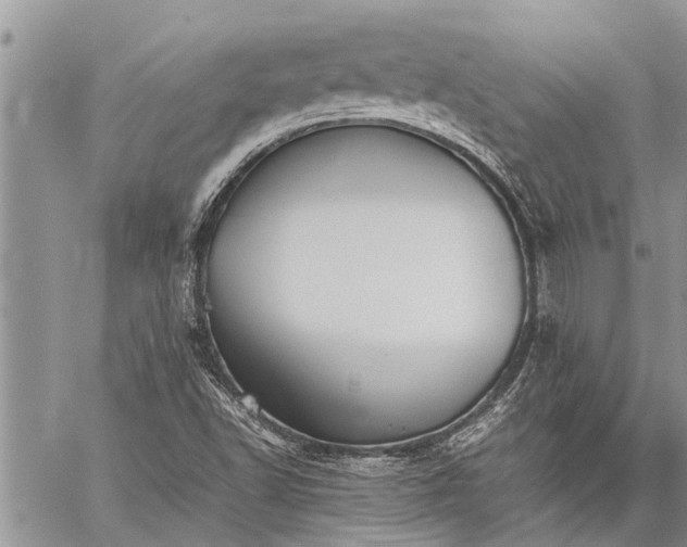 X0000059801502200510211038