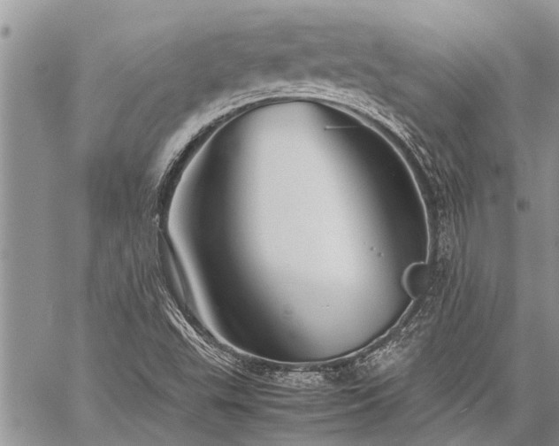 X0000059801503200510211038