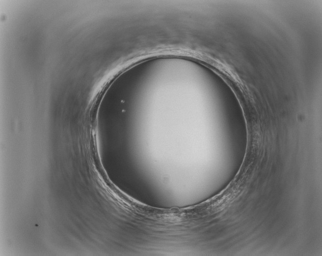 X0000059801504200510211038