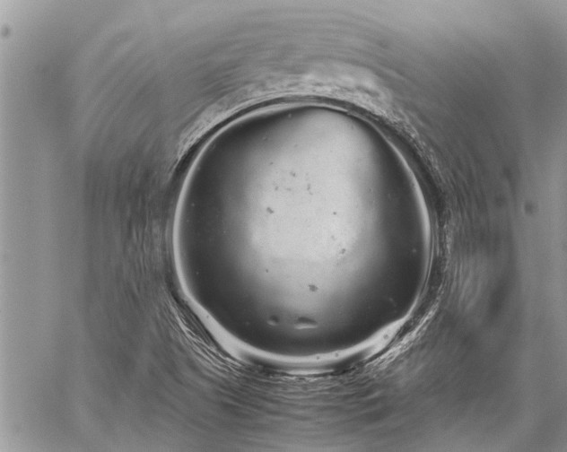 X0000059801505200510211038