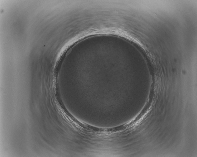 X0000059801506200510211038