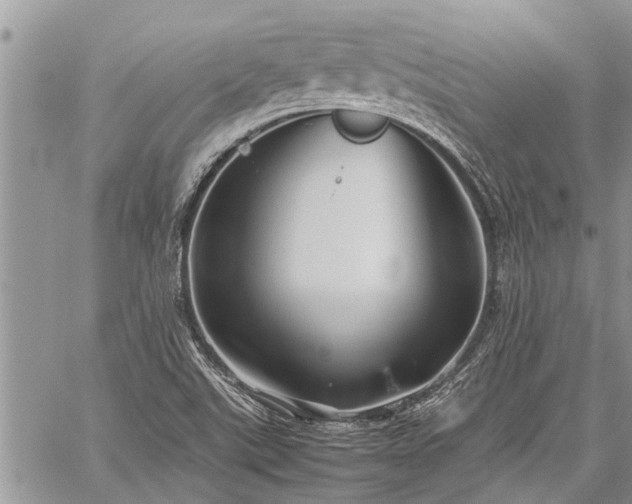 X0000059801507200510211038