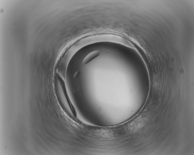 X0000059801508200510211038