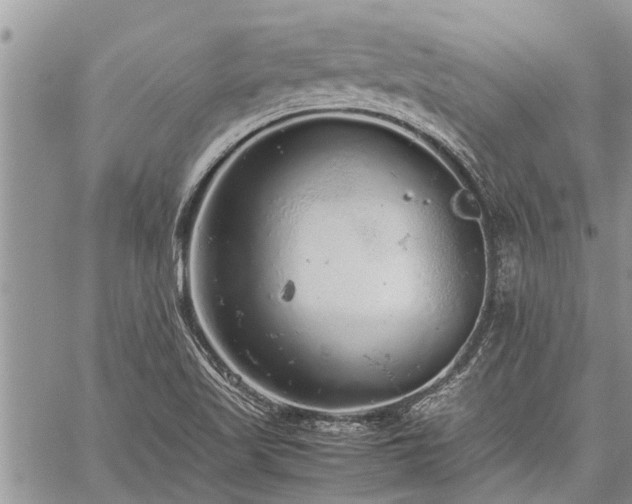 X0000059801509200510211038