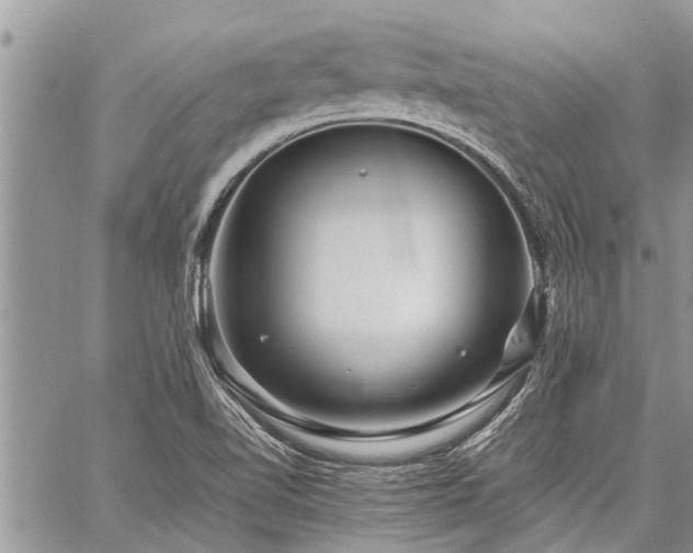 X0000059801510200510211039