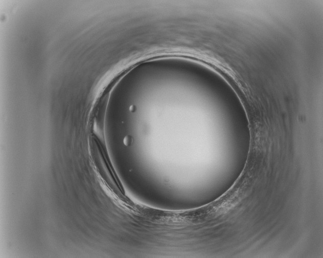 X0000059801511200510211039