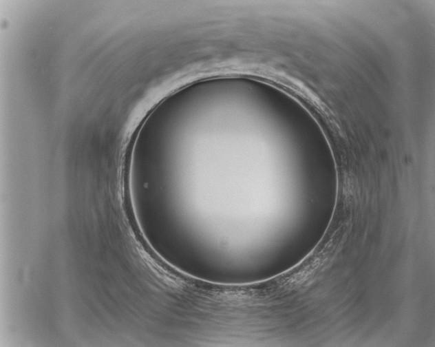 X0000059801512200510211039