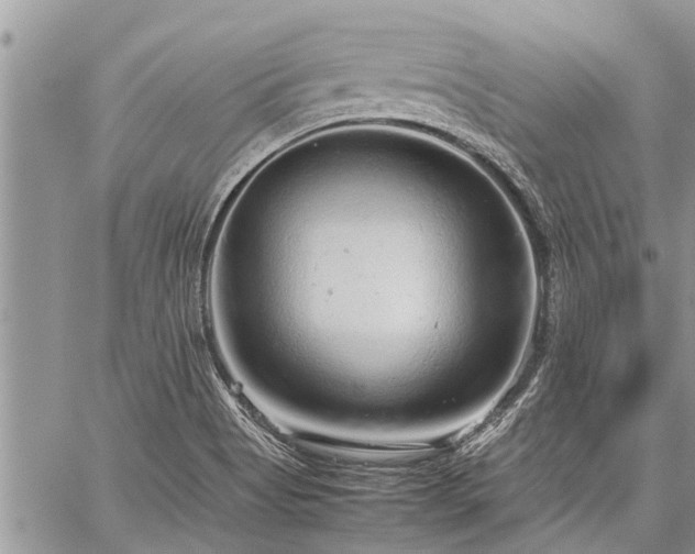 X0000059801513200510211039