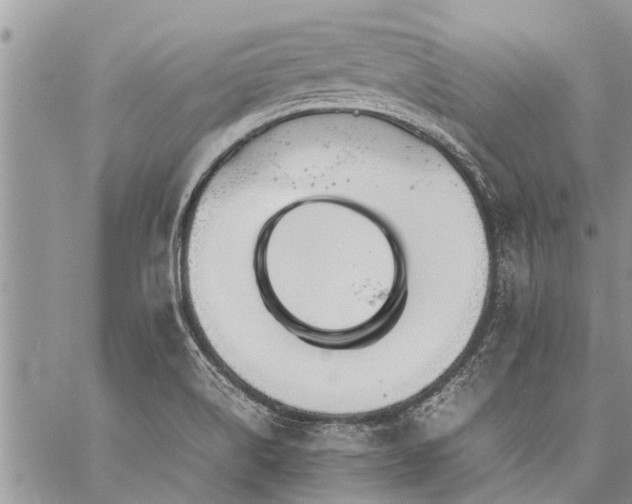 X0000059801514200510211039