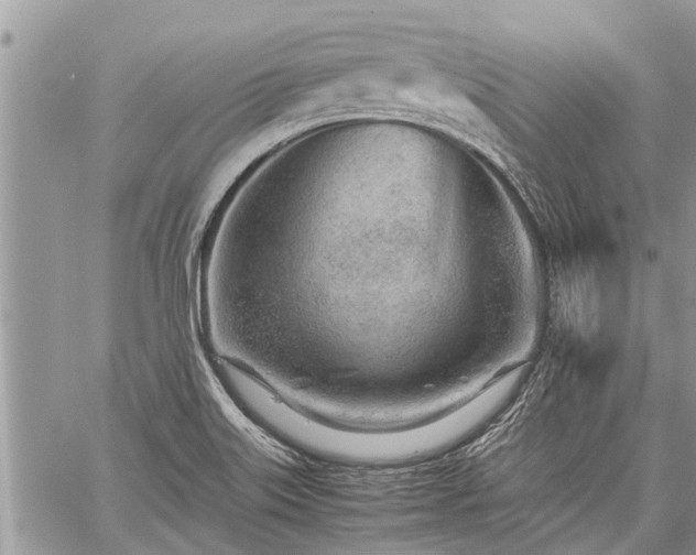 X0000059801515200510211039